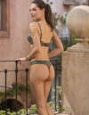 art 8220 Kaury 17 de oct152698